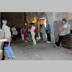 082 - Rheingau-172-1.JPG